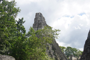 Tikal-3